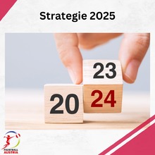 Strategie "Faustball Austria 2025 | Gemeinsam & gestärkt die Zukunft gestalten"